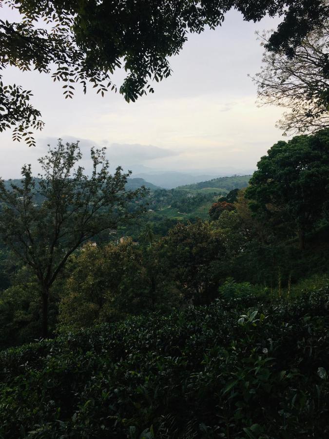 Desire Village Rakwana Luaran gambar
